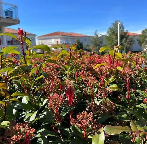 Modern W Terrace 250m From & Pool Apartament Antibes