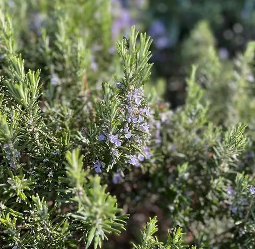 Modern W Terrace 250m From & Pool