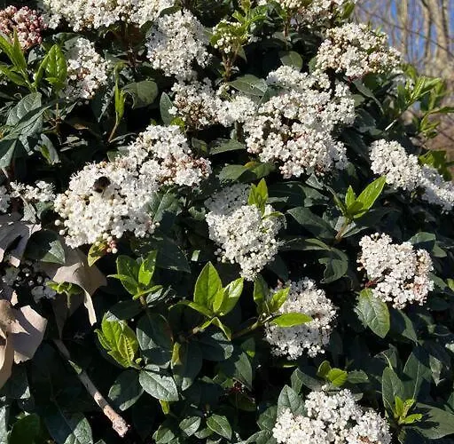 Appartamento Modern W Terrace 250m From & Pool *